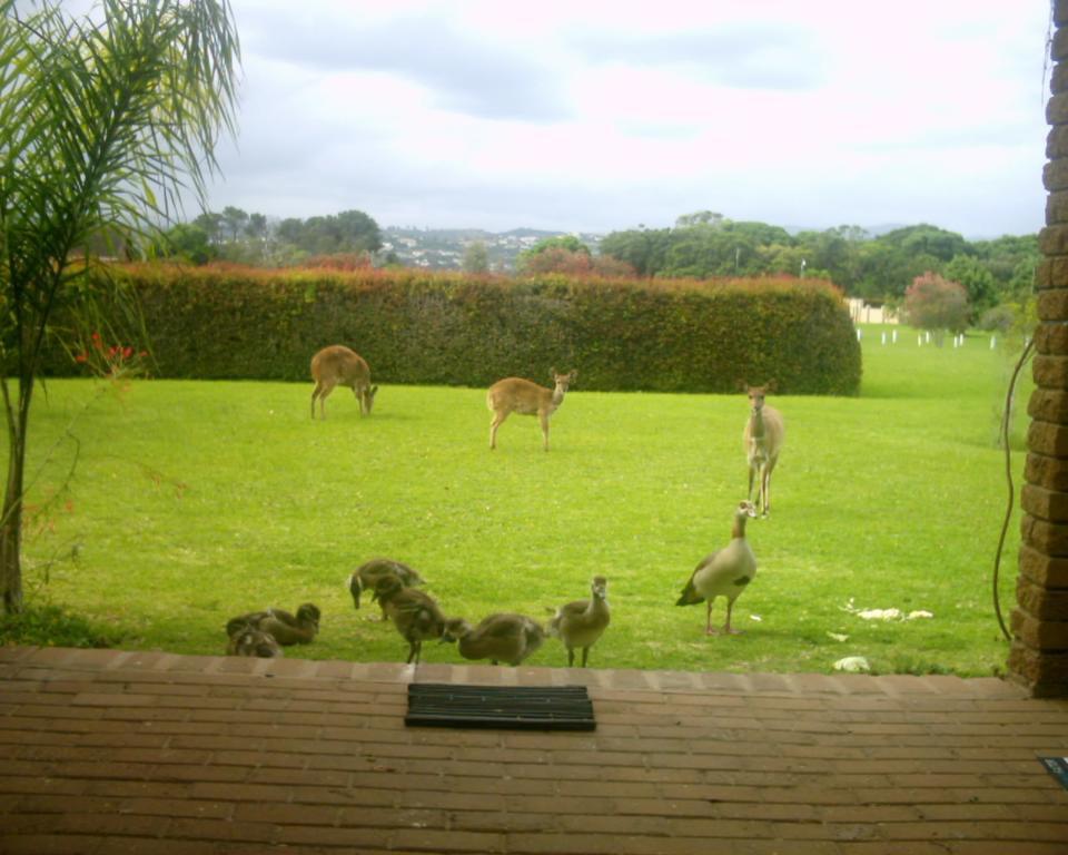 Brenton Lake Holiday Cottages Extérieur photo